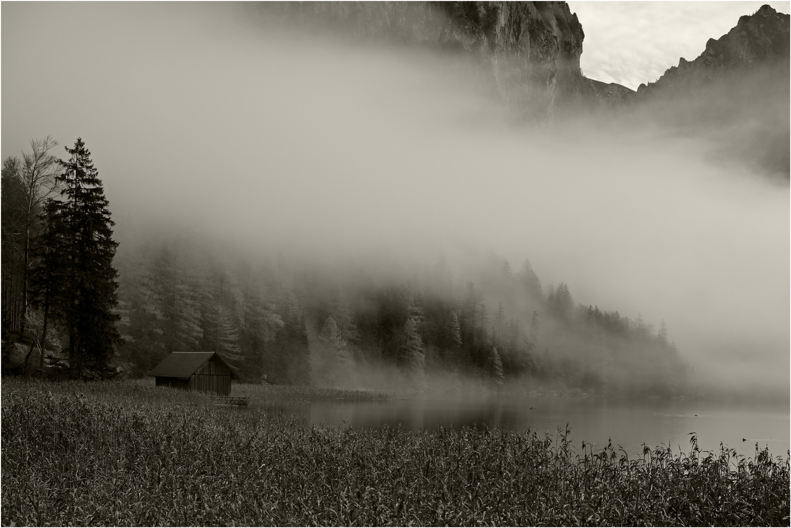 frühmorgens am See