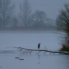 Frühmorgens am See.