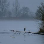 Frühmorgens am See.