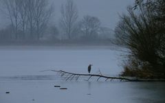 Frühmorgens am See.