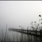 Frühmorgens am See