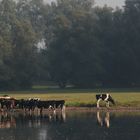 Frühmorgens am See.