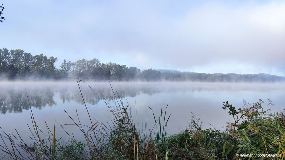 Frühmorgens am See