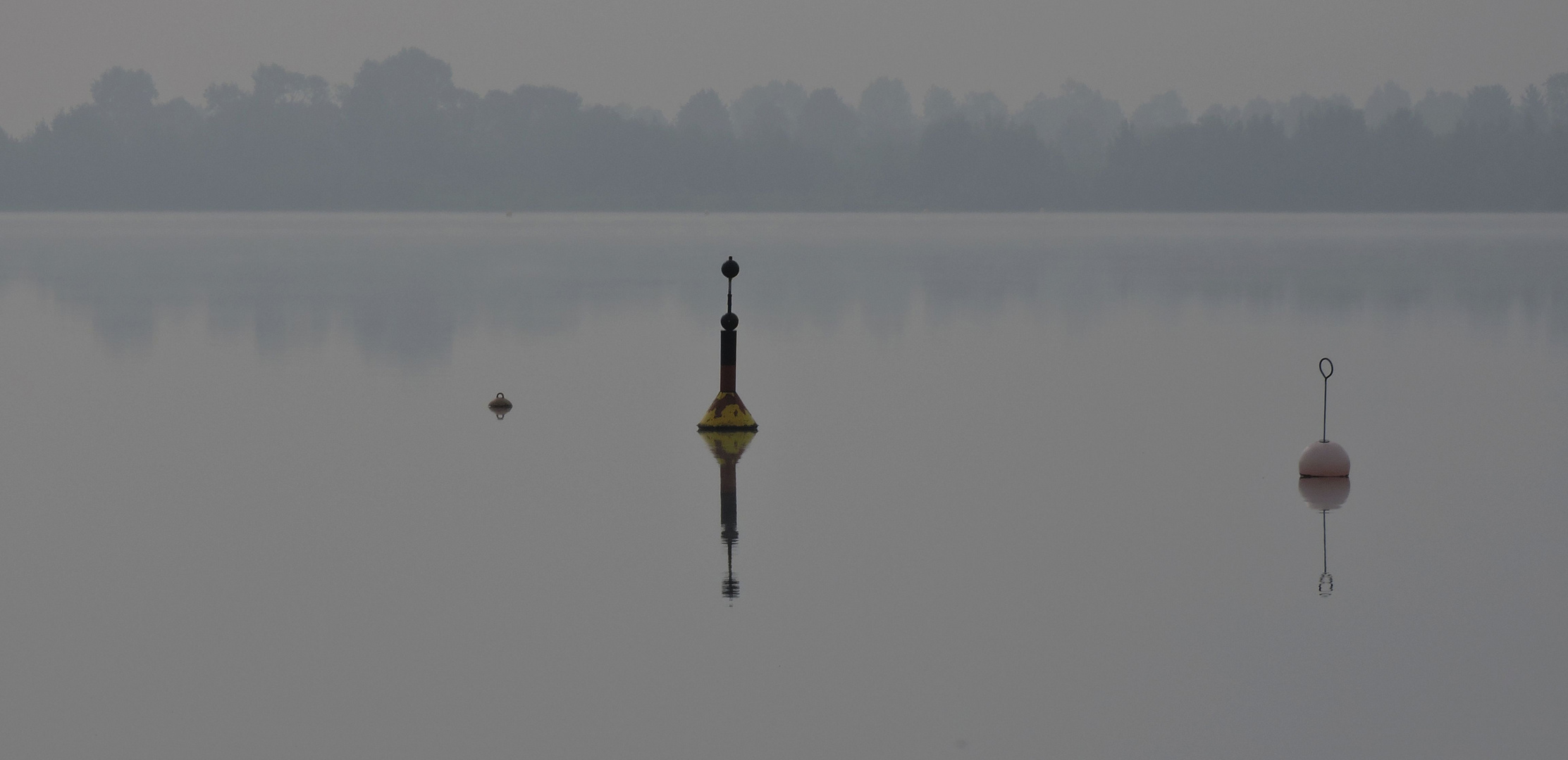 Frühmorgens am See.