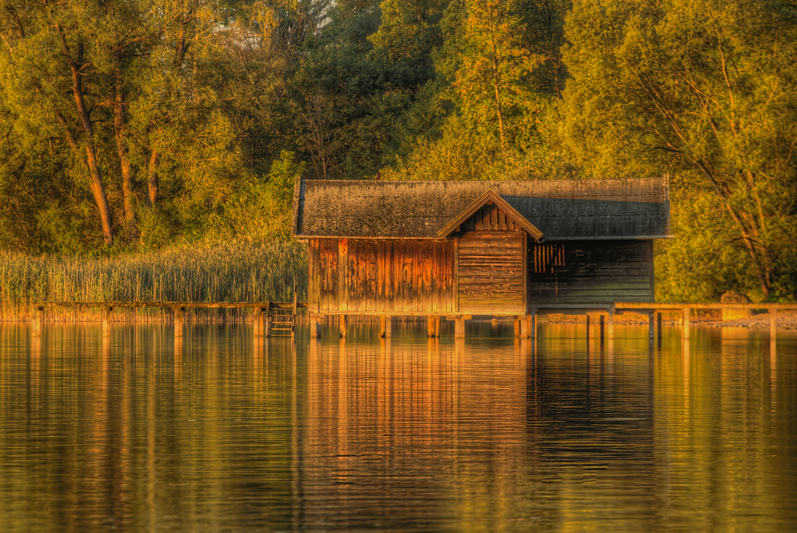 Frühmorgens am See