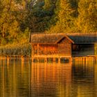 Frühmorgens am See