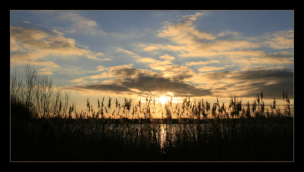 frühmorgens am See