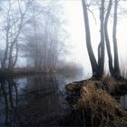 frühmorgens am See