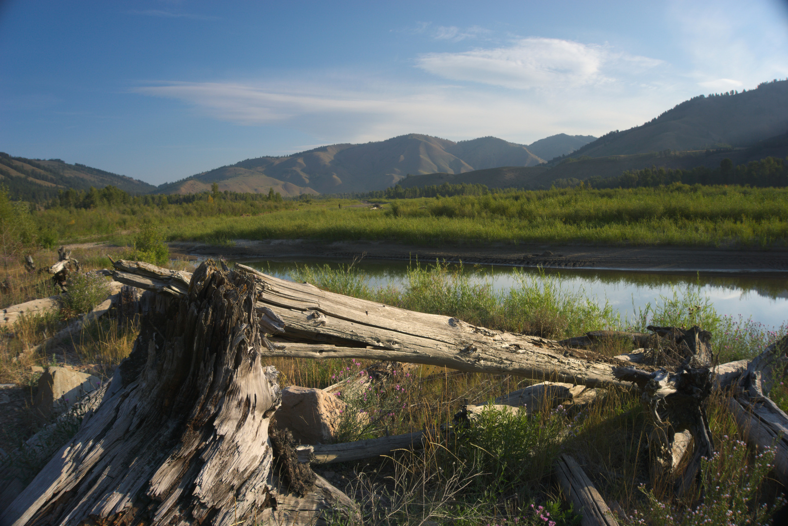 Frühmorgens am Snake River