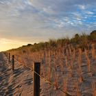 frühmorgens am strand