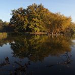 Frühmorgens am Südteich