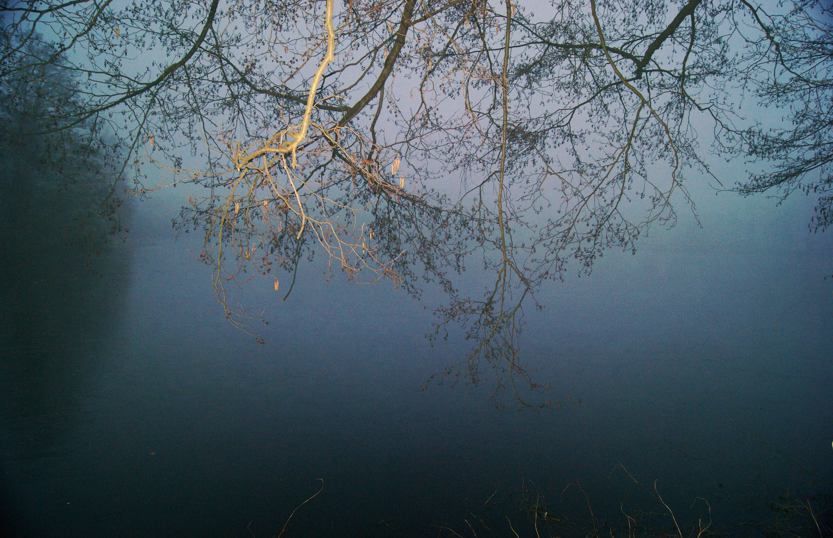 Frühmorgens am Teich