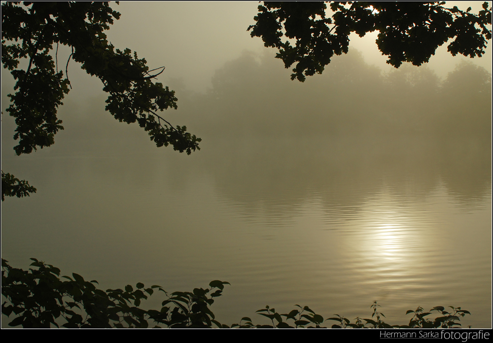frühmorgens am Teich
