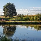 Frühmorgens am Teich