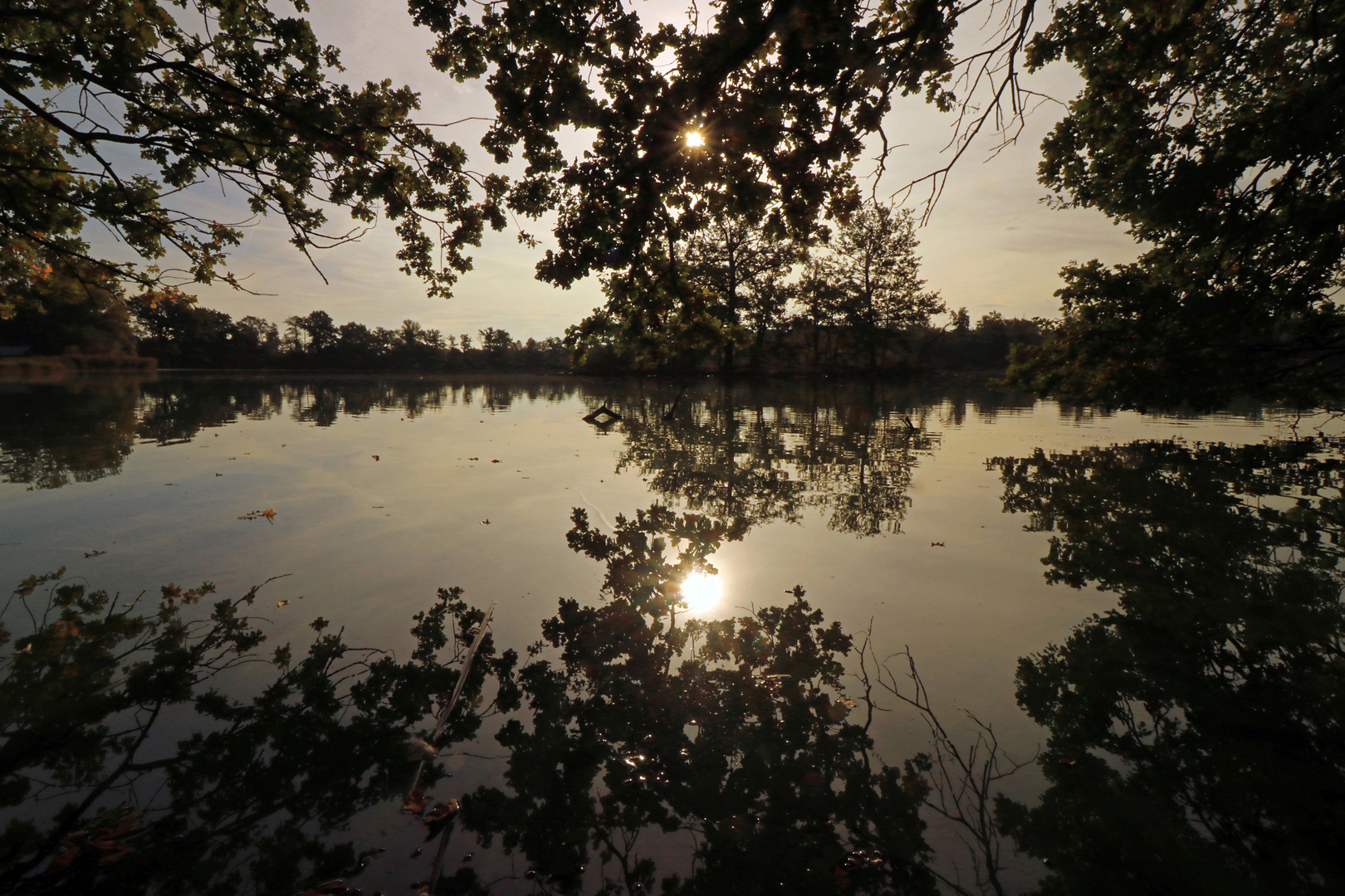 Frühmorgens am Teichufer