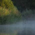 Frühmorgens am Weiher