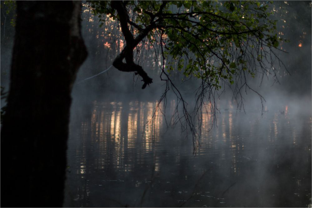 Frühmorgens am Weiher