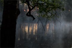 Frühmorgens am Weiher