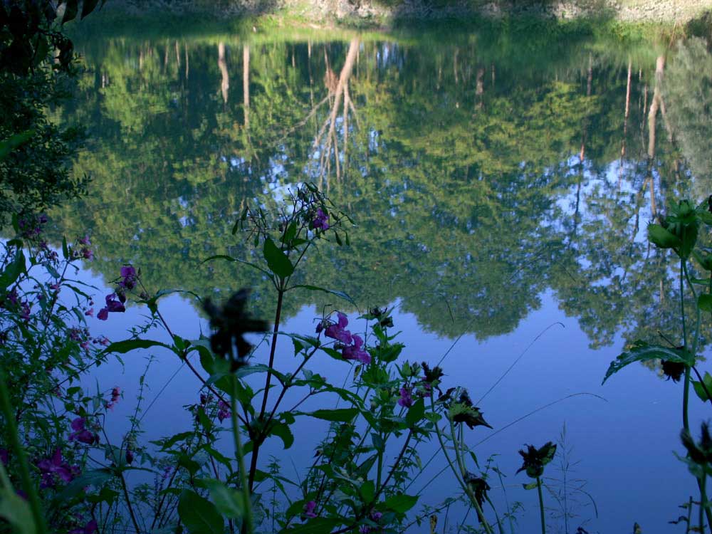 frühmorgens an der Iller