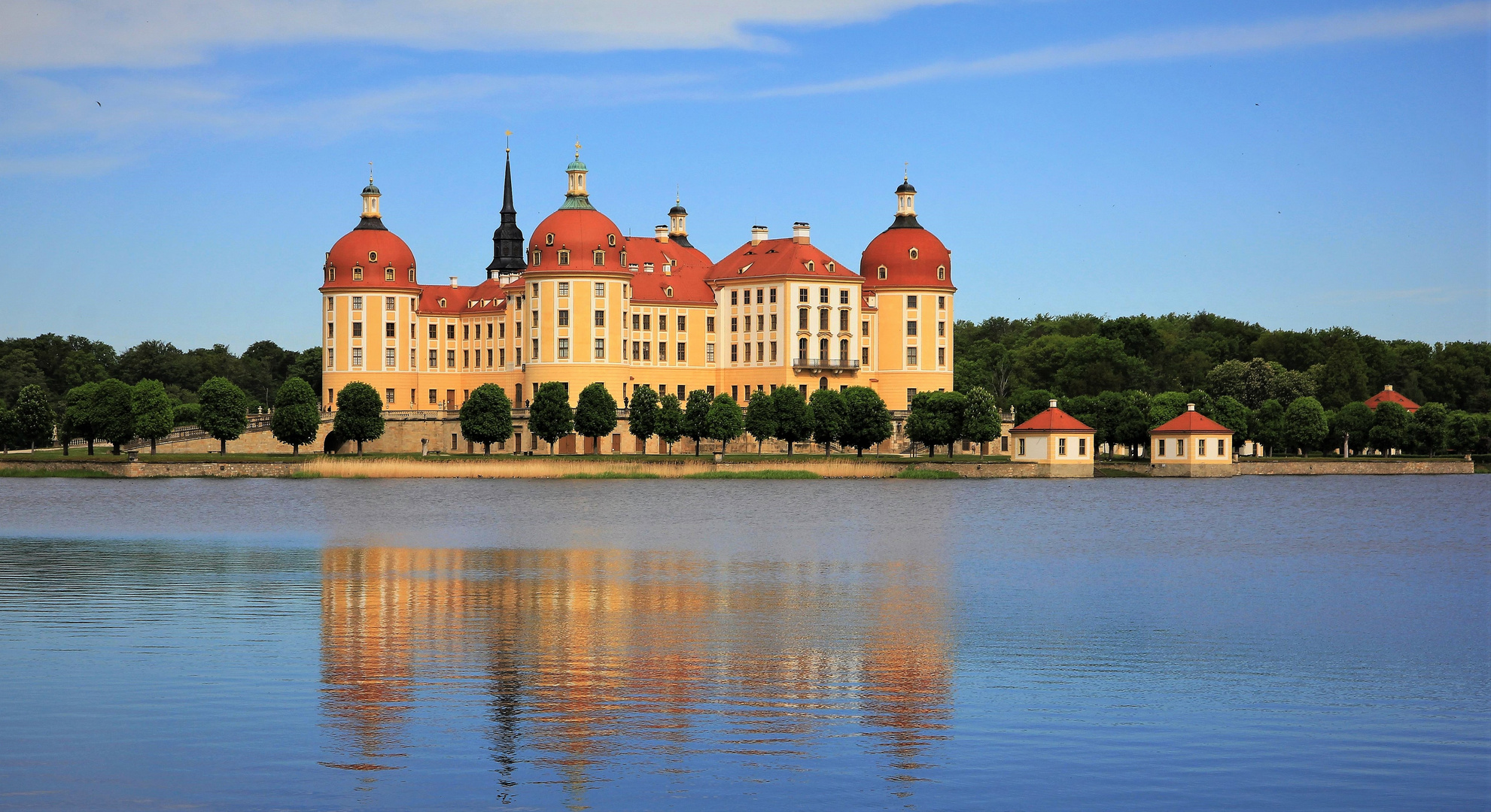 Frühmorgens an der Moritzburg 