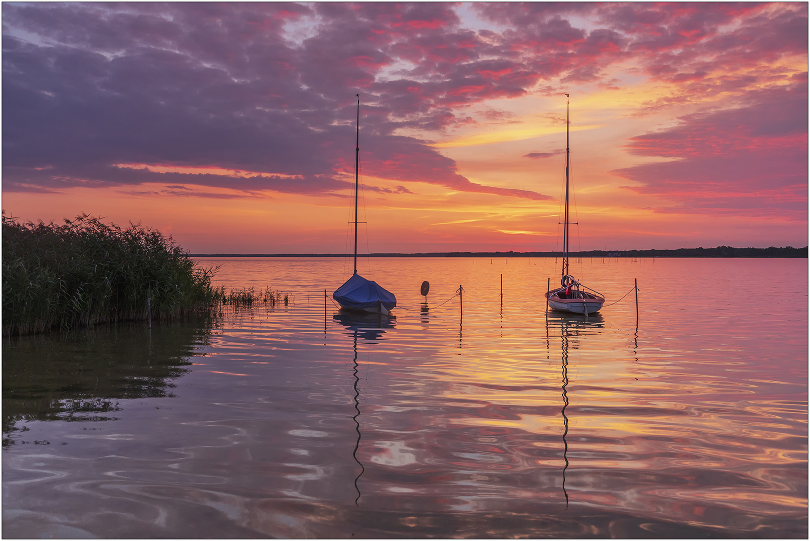 frühmorgens an der Müritz