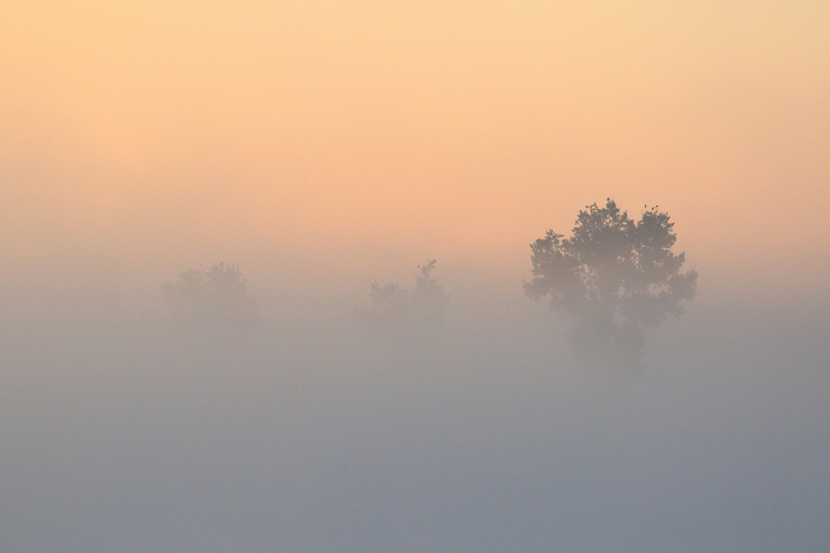 Frühmorgens an der Müritz