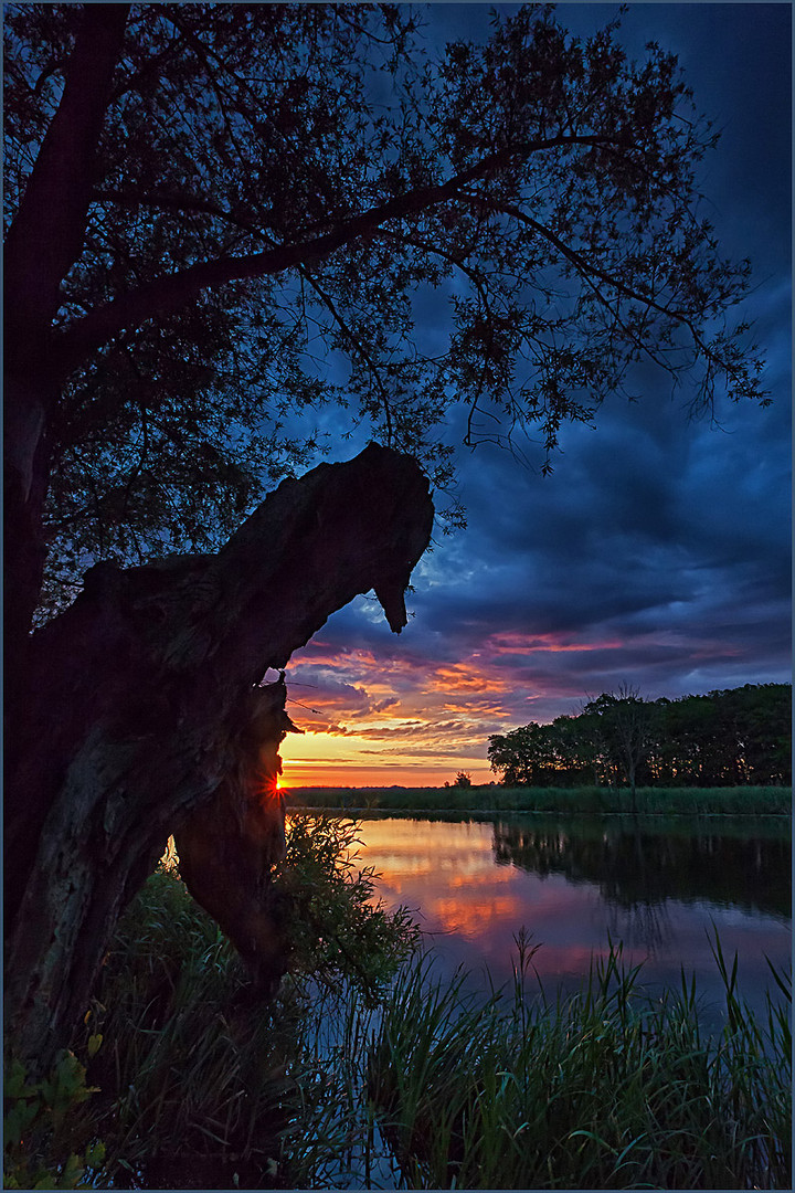 Frühmorgens an der Peene 2