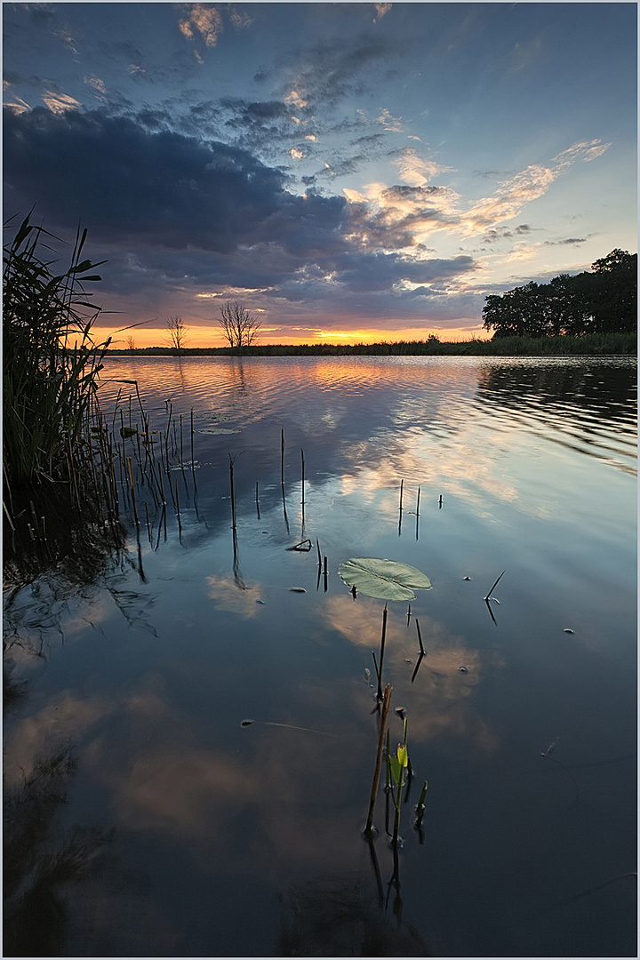 Frühmorgens an der Peene