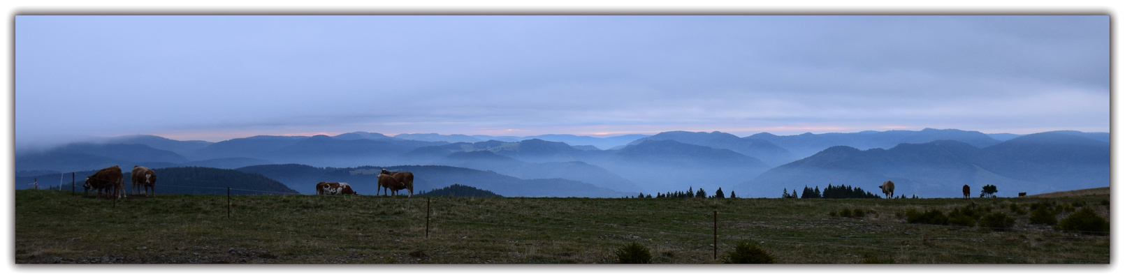 Frühmorgens auf dem Belchen