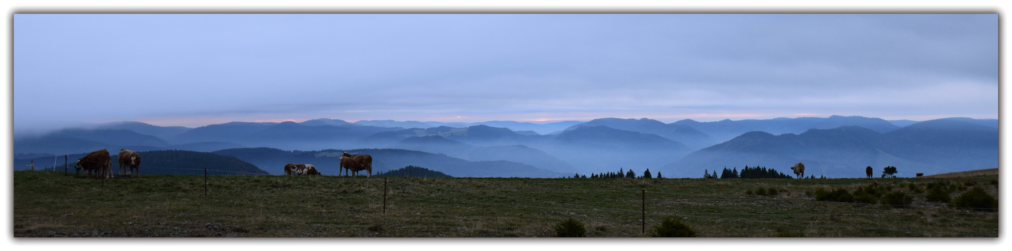 Frühmorgens auf dem Belchen