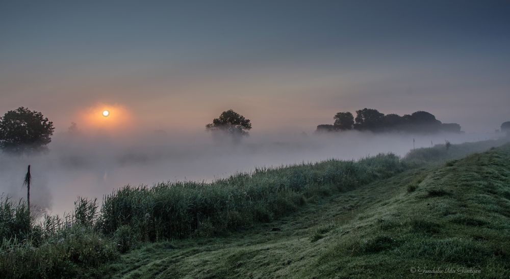 Frühmorgens auf dem Deich