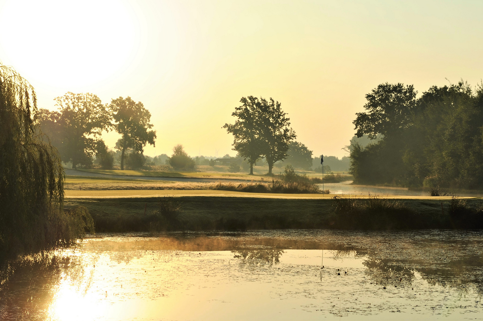 Frühmorgens auf dem Golfplatz