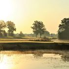 Frühmorgens auf dem Golfplatz