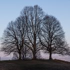 Frühmorgens auf dem Jusi