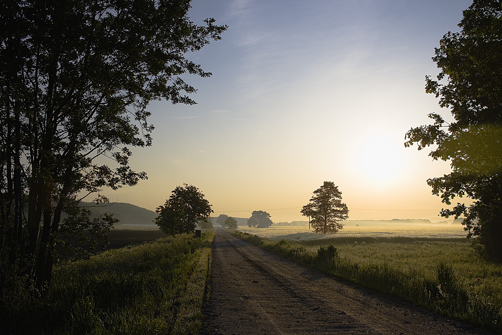 frühmorgens auf dem Lande