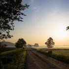 frühmorgens auf dem Lande