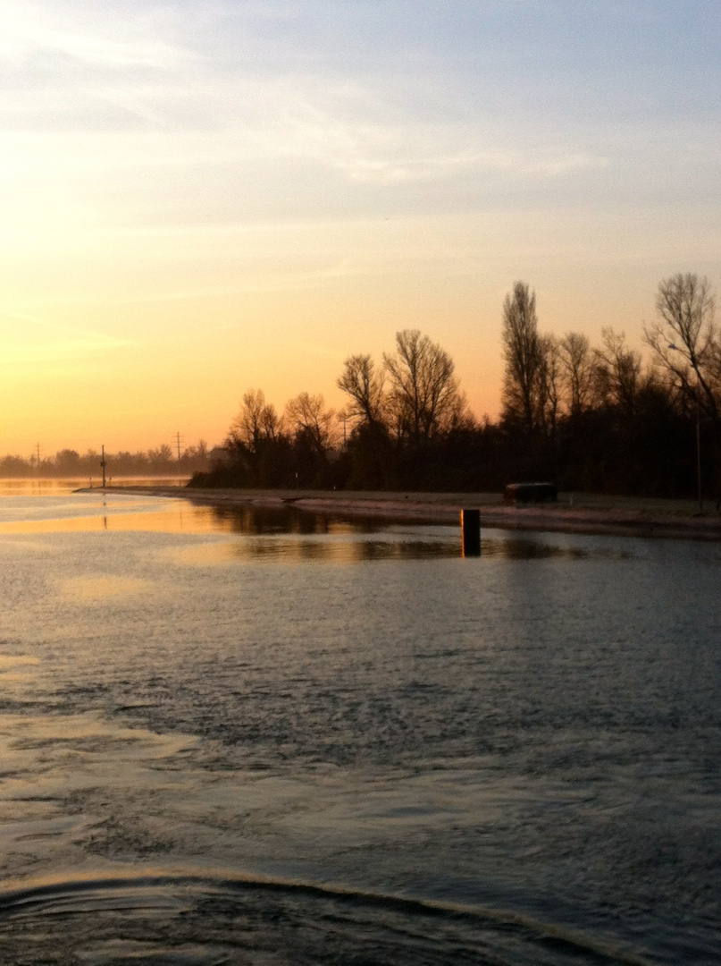 frühmorgens auf dem Rhein