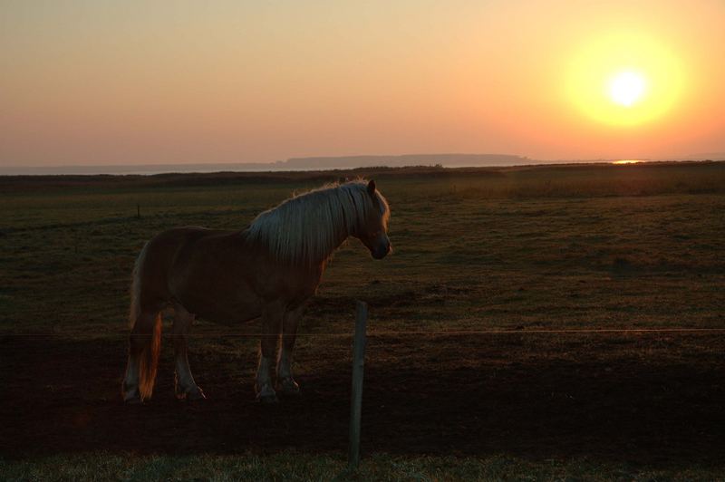 Frühmorgens auf Hiddensee