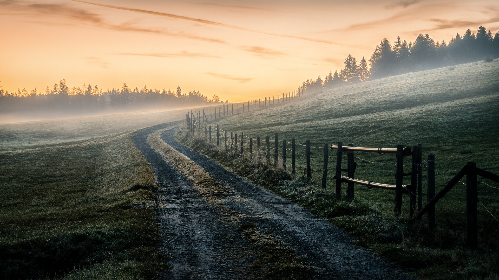 frühmorgens bei Betzigau