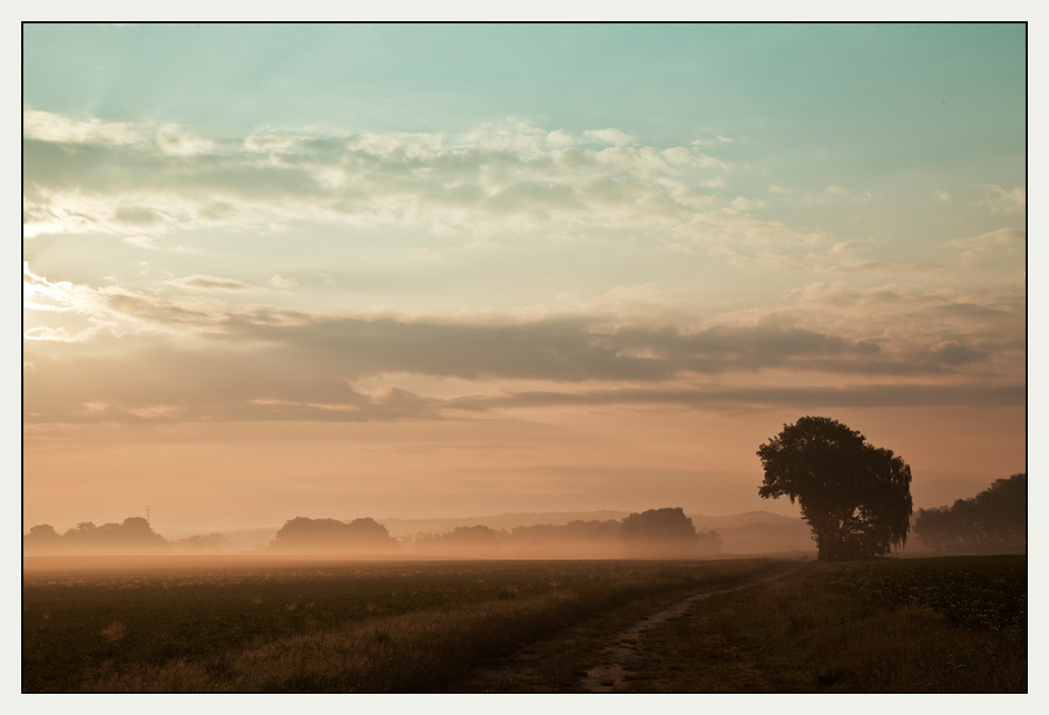 frühmorgens