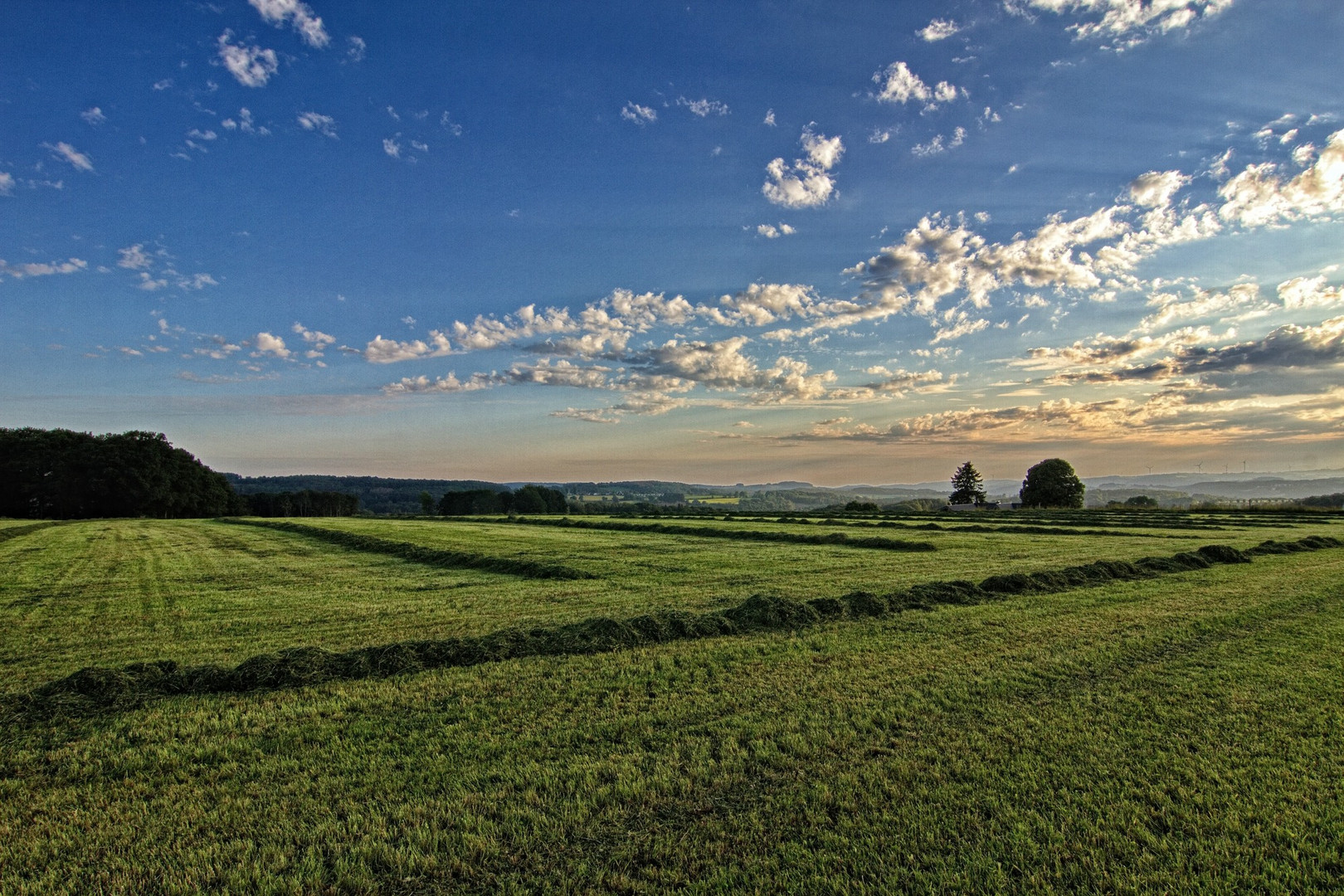 Frühmorgens 