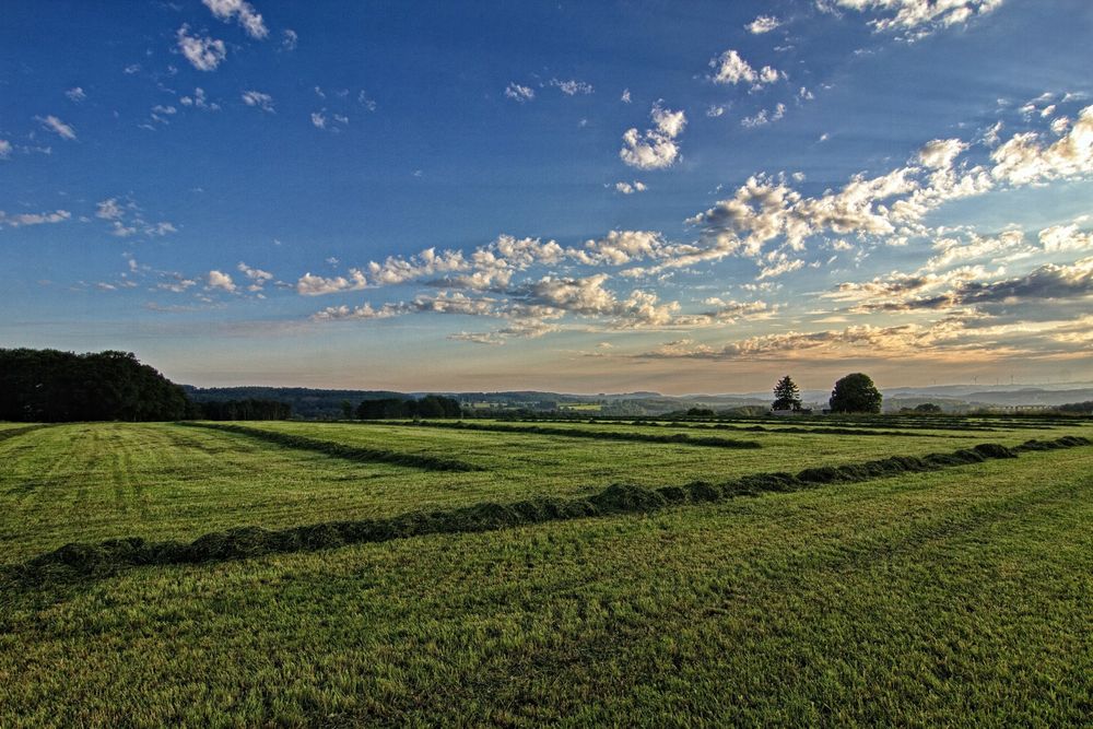 Frühmorgens 