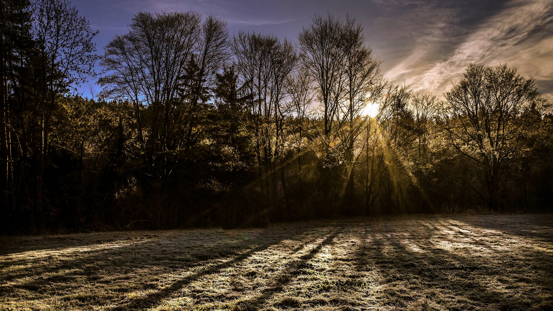 Frühmorgens