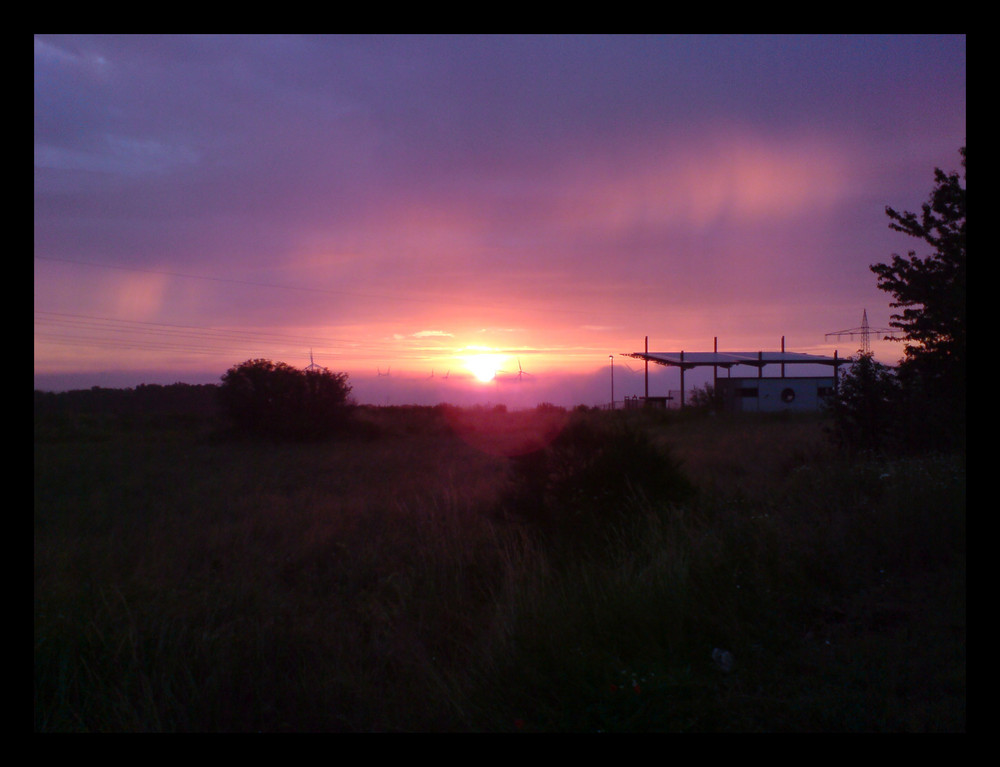 Frühmorgens ein schöner Blick auf der Arbeit!