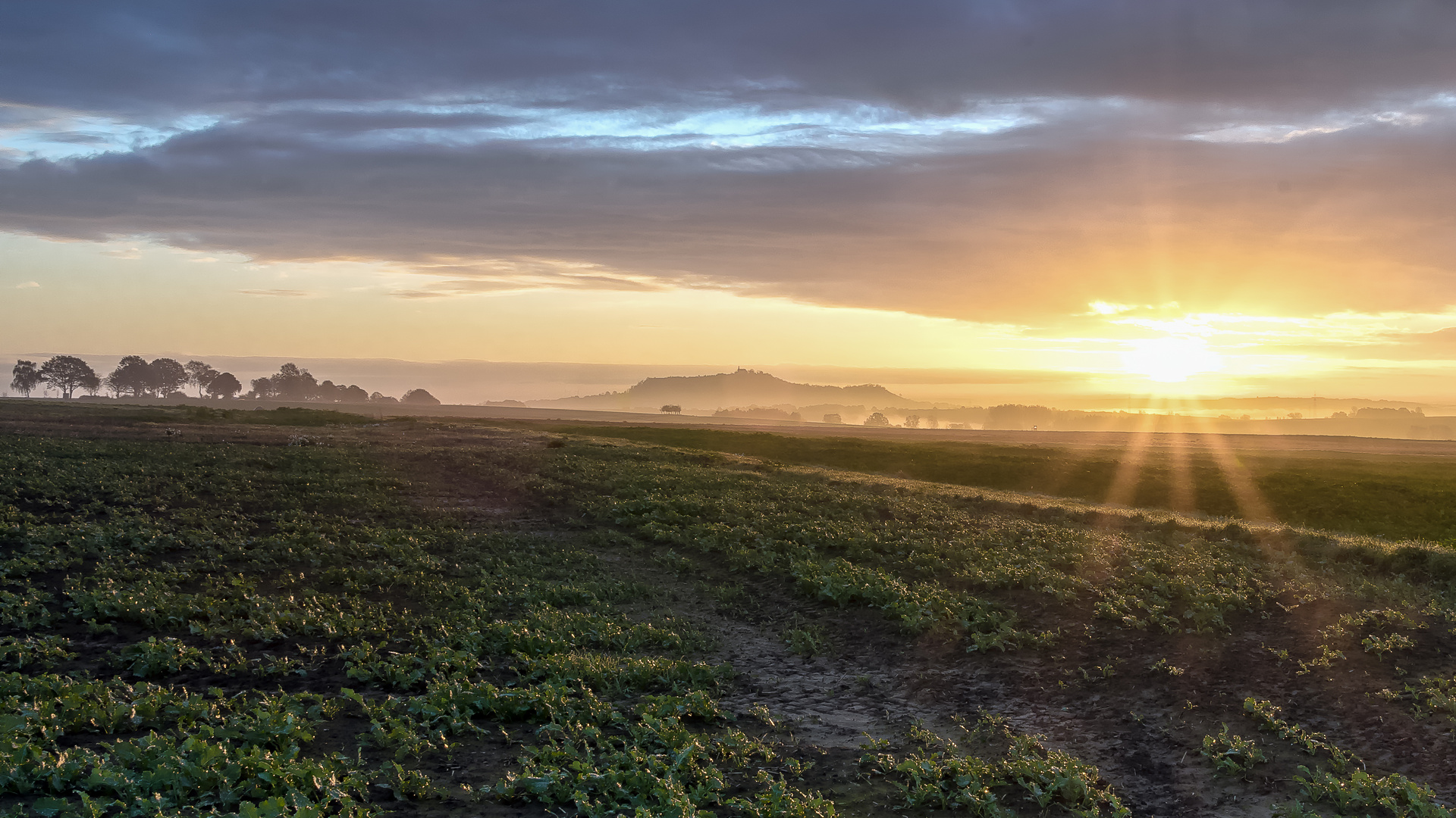 Frühmorgens hinter den Lahnbergen