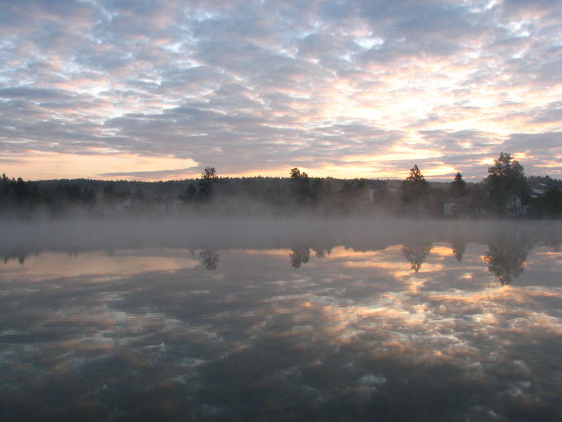 FRÜHMORGENS I original