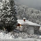 Frühmorgens im Allgäu