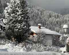 Frühmorgens im Allgäu