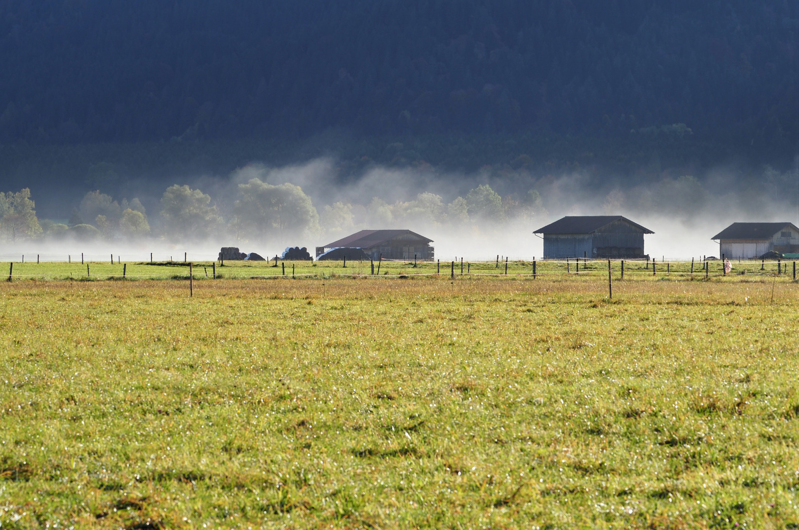 Frühmorgens im Allgäu