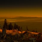 Frühmorgens im Böhmerwald